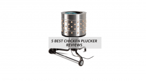 Best Chicken Plucker Reviews