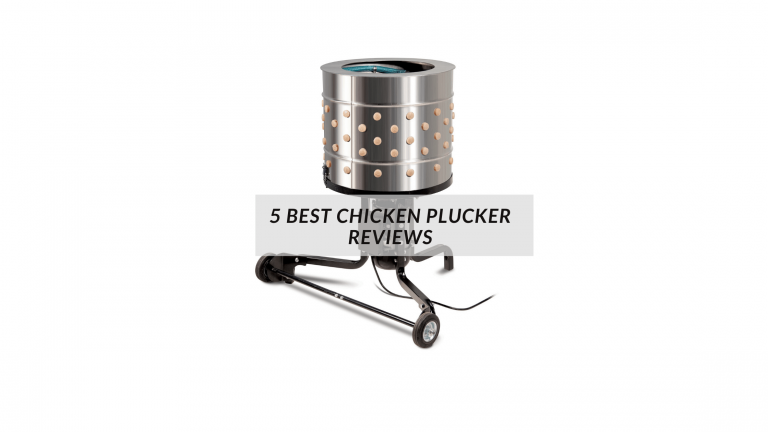 5 Best Chicken Plucker Reviews & Buying Guide