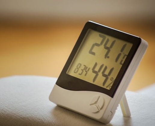 The Best Incubator Thermometer and Hygrometer Reviews & Buying Guide